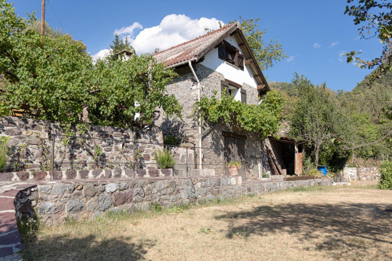 La Petite Chataigne Valdeblore Exterior photo